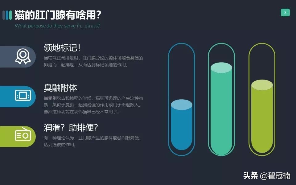 你家猫肛门腺那点事儿...挤？不挤？