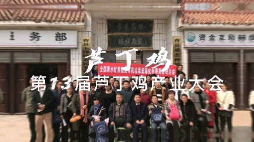 世界虫王争霸战争,世界虫王大战