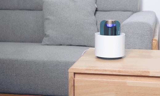 防辐射盆栽仙人掌,四季开花驱蚊的盆栽