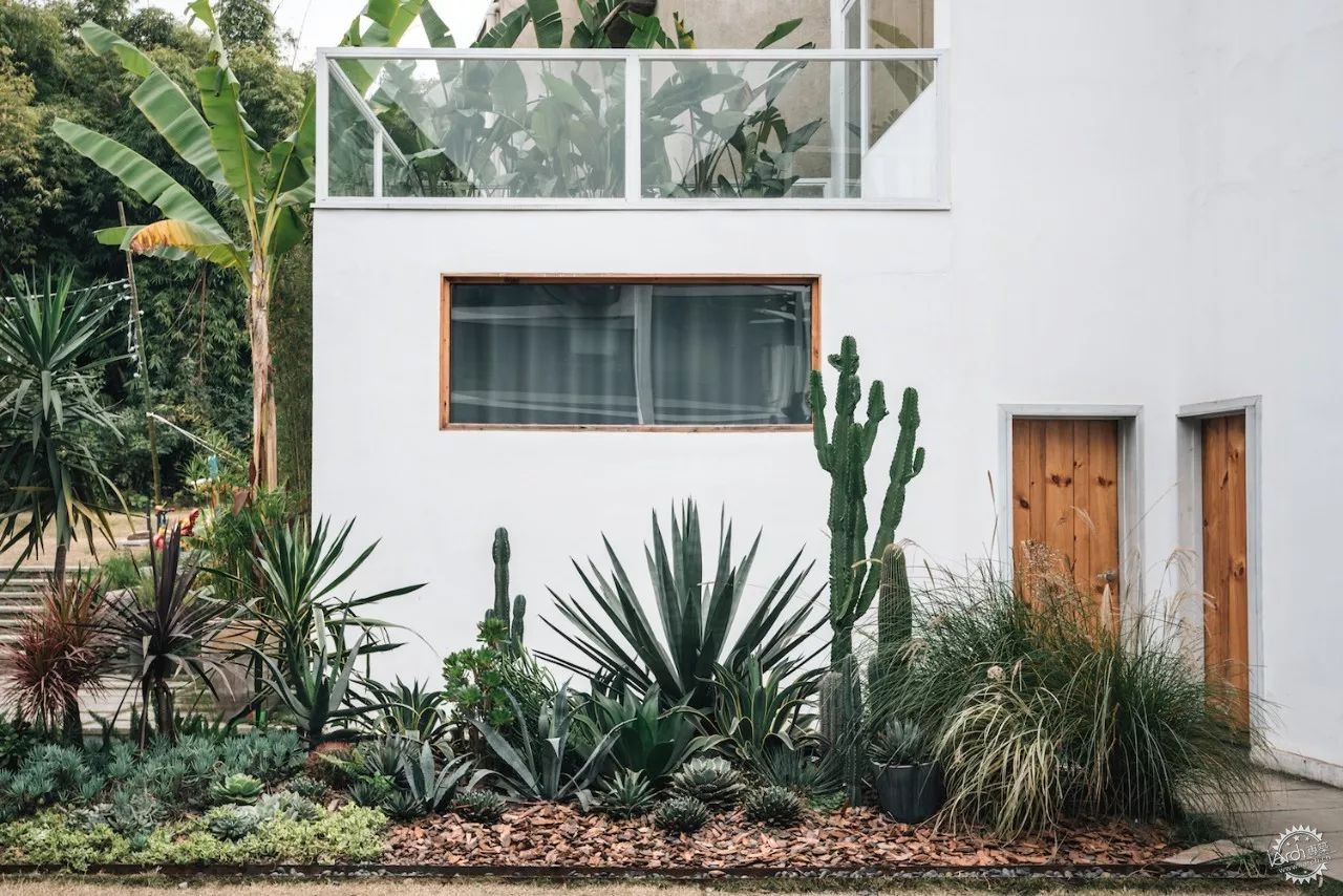 sasa，西西，设计师老王和三圣乡的“亲家DearHome”