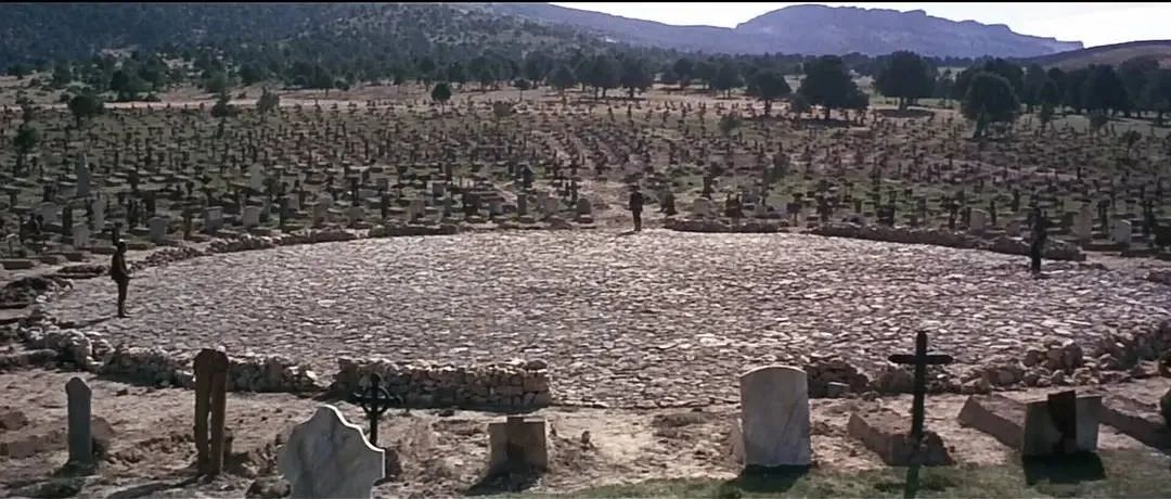 王家卫姚晨,姚晨王家卫