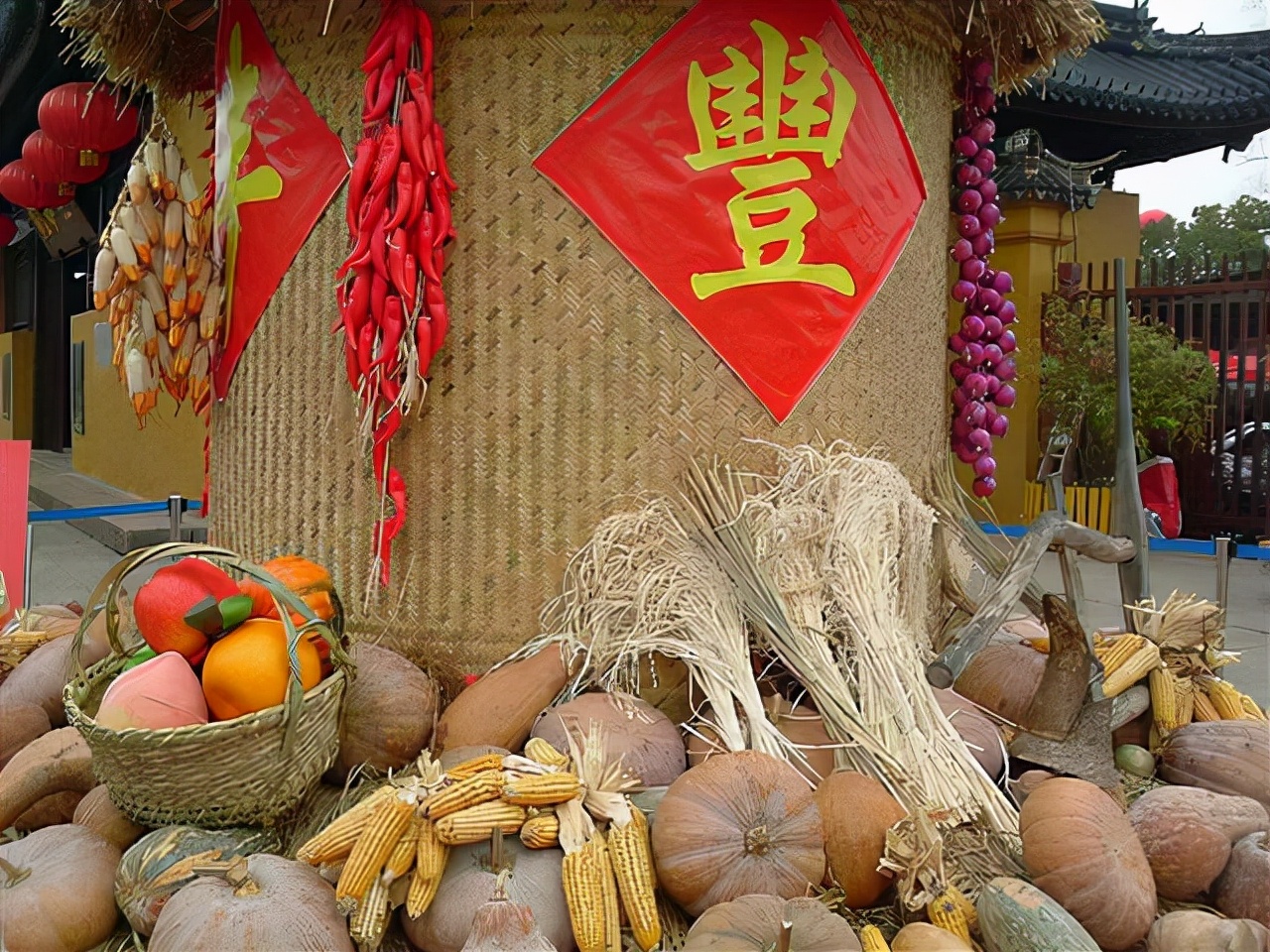 6000人共用一个厕所印度贫民窟,菲律宾贫民窟活死人墓