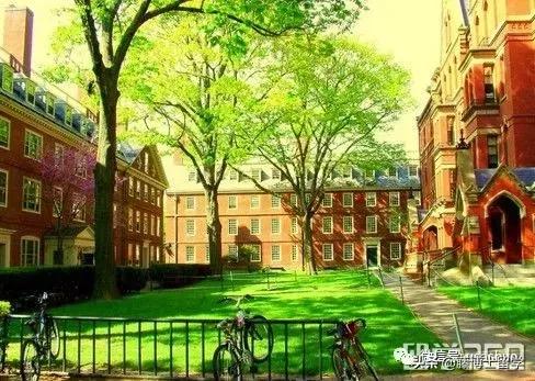 美国大学录取规则,美国大学录取公式的13项评分标准