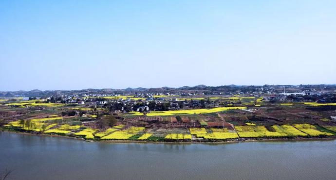 沱江桃花在哪里,沱江赏桃花