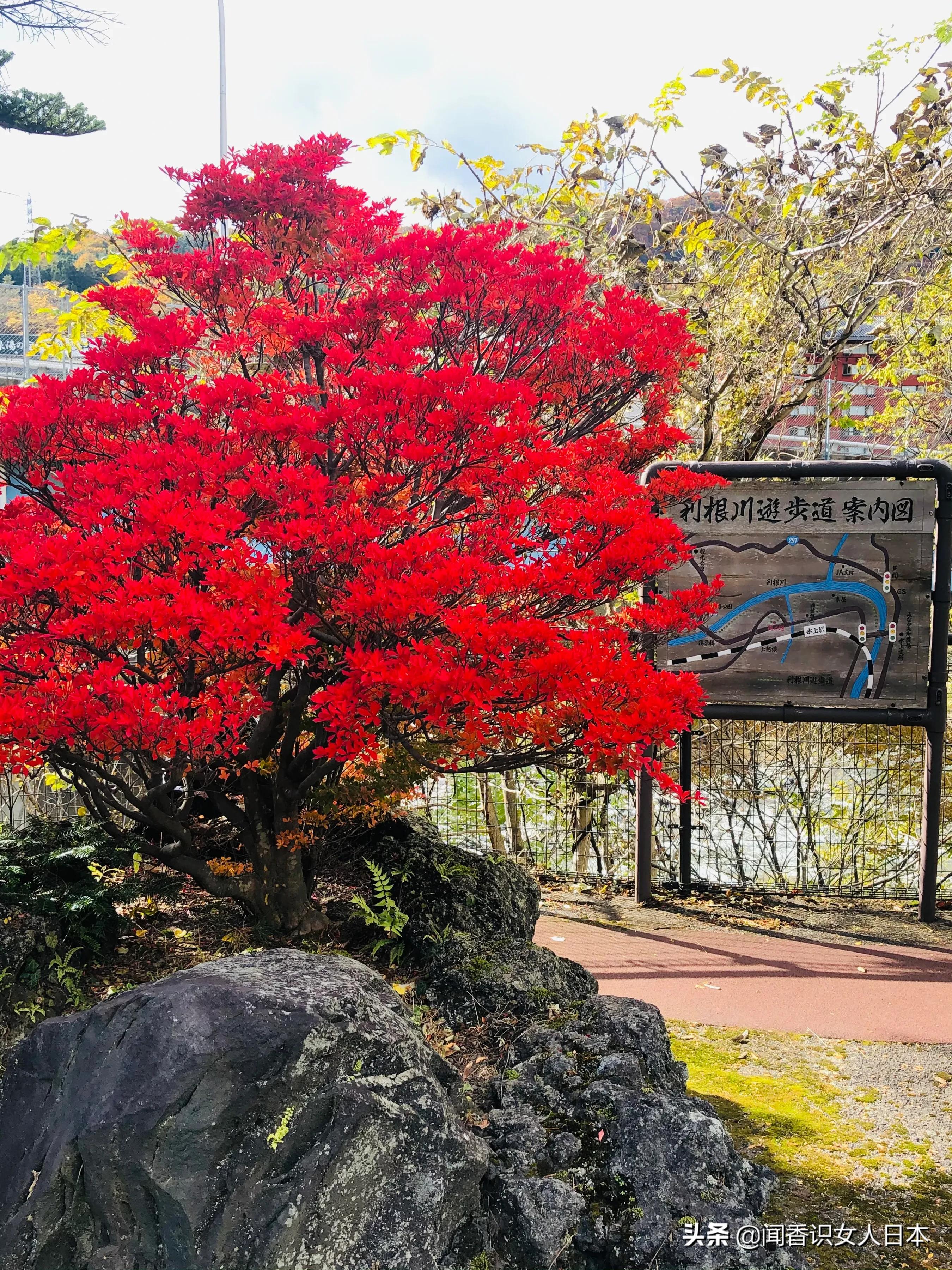 群马县最有名的温泉,群马温泉一日游攻略