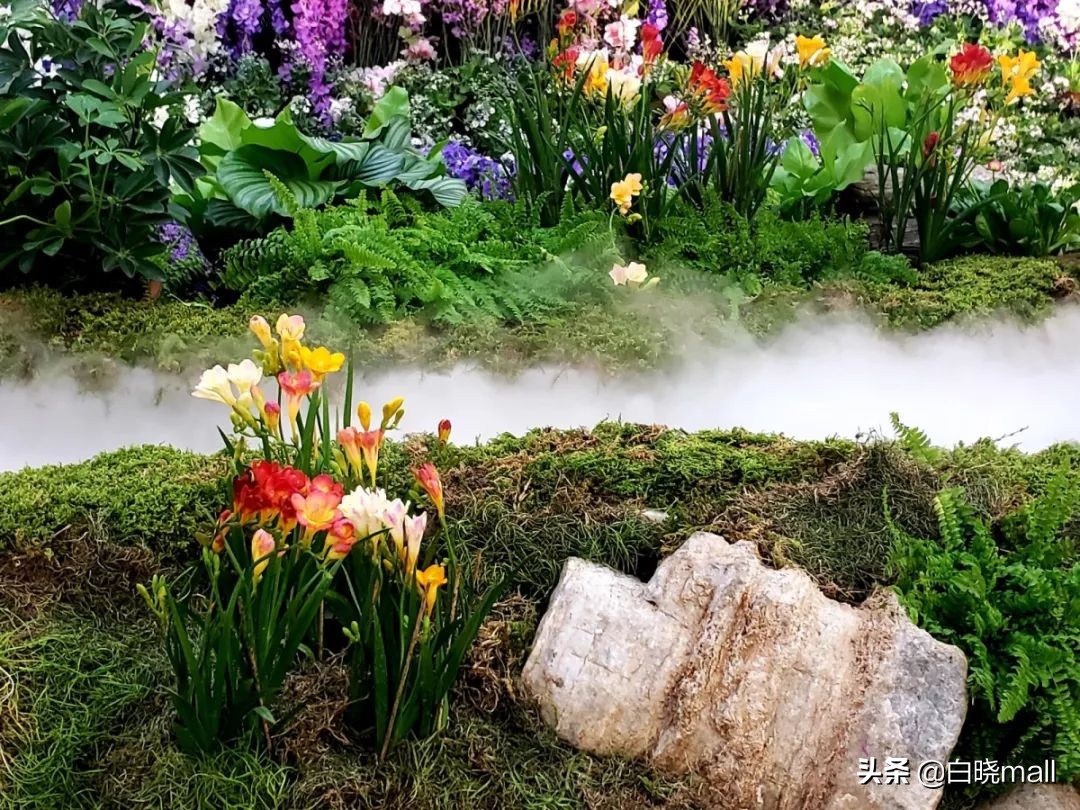 打卡朝阳大悦城,打卡朝阳餐厅