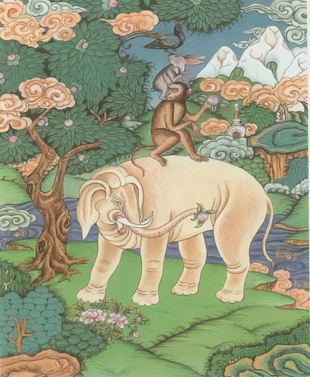 避孕套的背后故事，可能比你想的更不简单