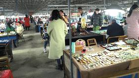 和田玉水中采直播,和田玉水里捞直播