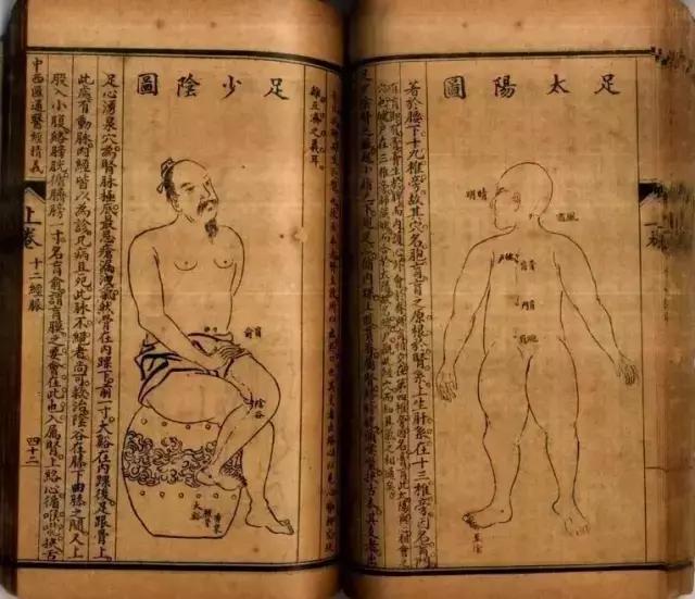 中西医之争：道不同也可相为谋