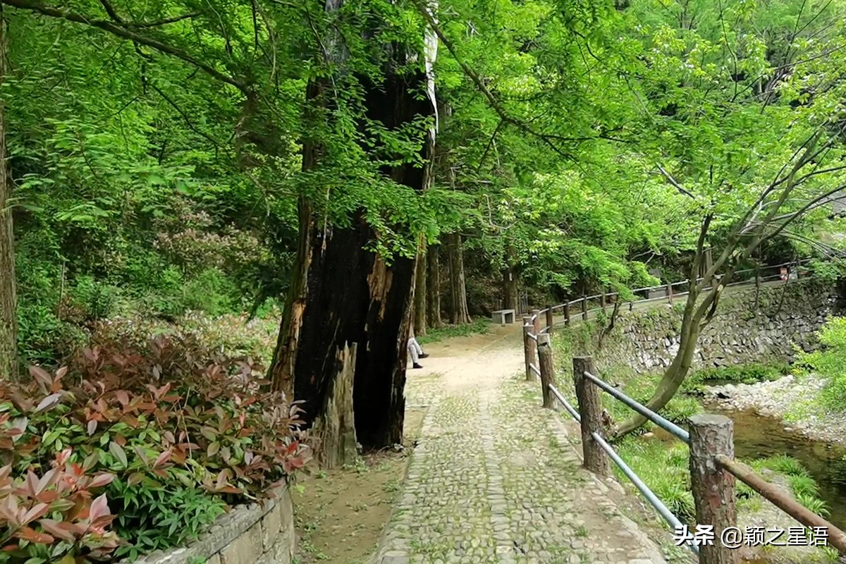 五角山航拍,五角地带