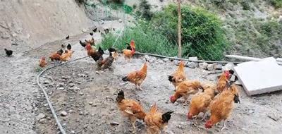 简直太好吃了,简直太好吃