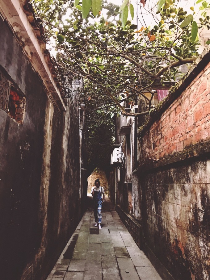 每天3w步的珠海澳门小清明