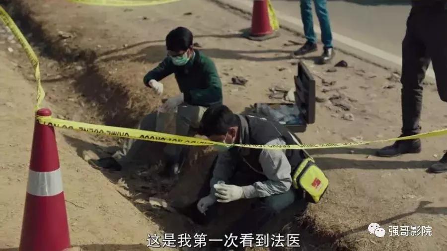 每日晚推：假如都逃避真实存在问题，谁来拯救自己深爱的这片土地