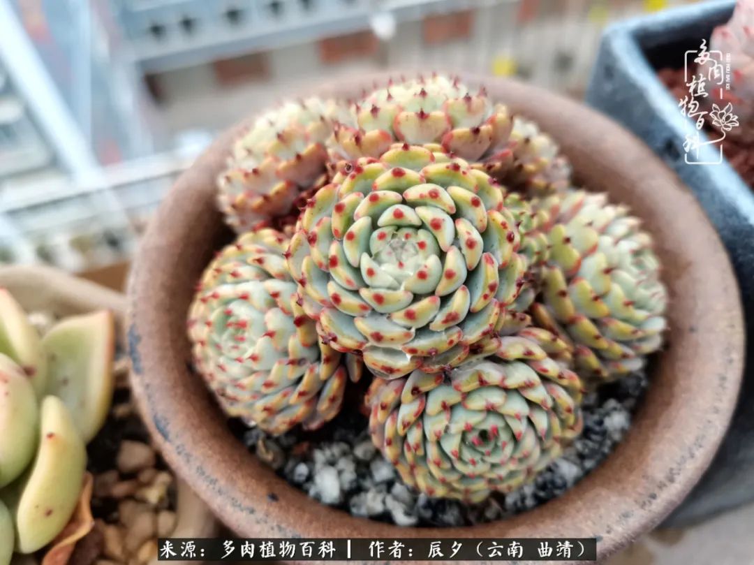 缂辩换鏃栨棊钁宠暏鐢熼,缂辩换鏃栨棊钁宠暏鐢熼鍑哄