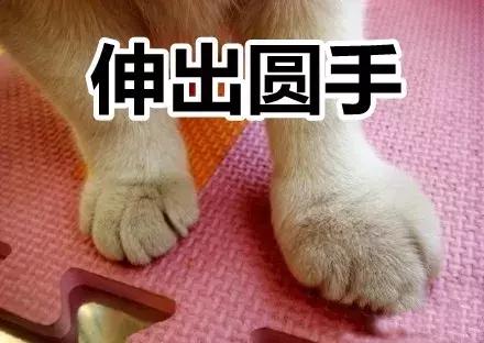 宝宝在医院的护理常识,宝宝应该怎样护理不得病