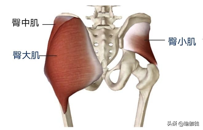 翘屁股影响发育吗,翘二郎腿骨盆倾斜危害