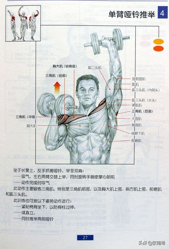 男士健身的进阶之路,男士运动健身全攻略
