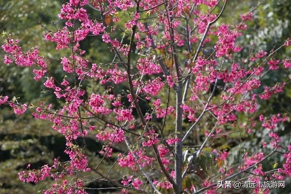 寒假亲子游推荐4-5天游,暑假亲子游玩地点推荐3天2夜