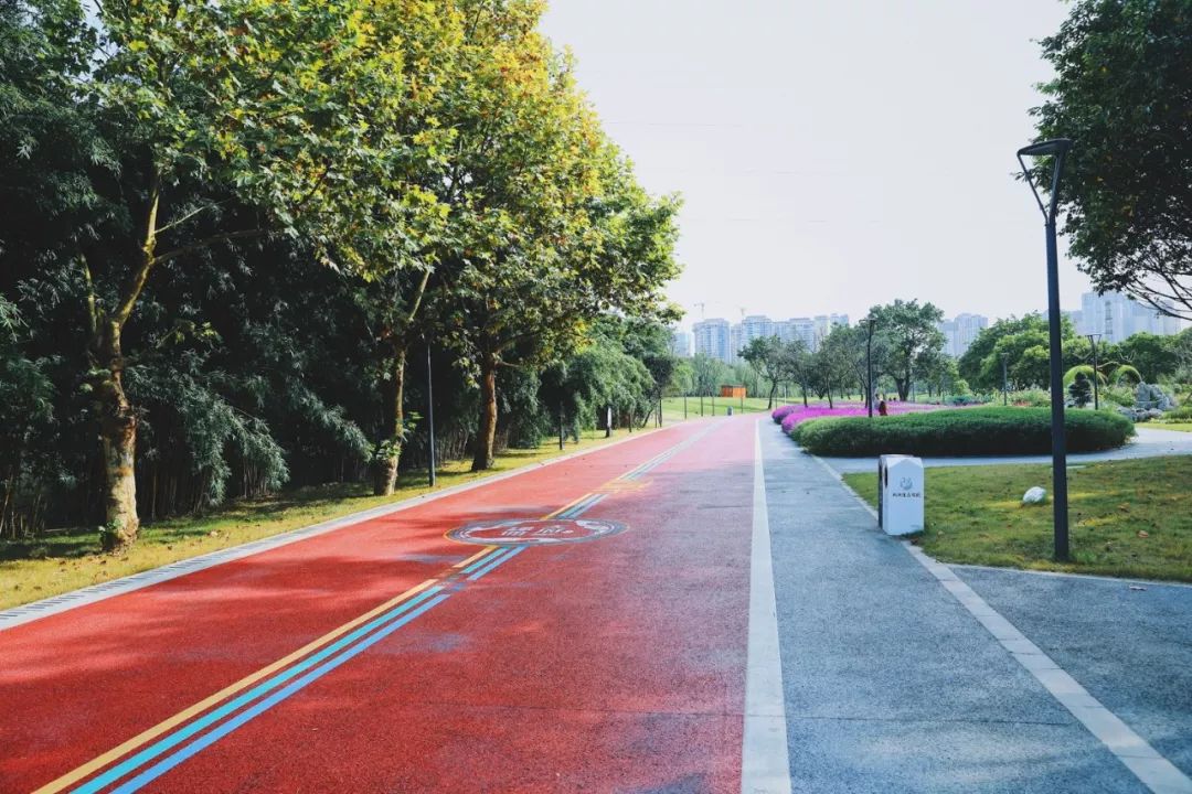 成都周末遛娃游推荐,遛狗公园成都