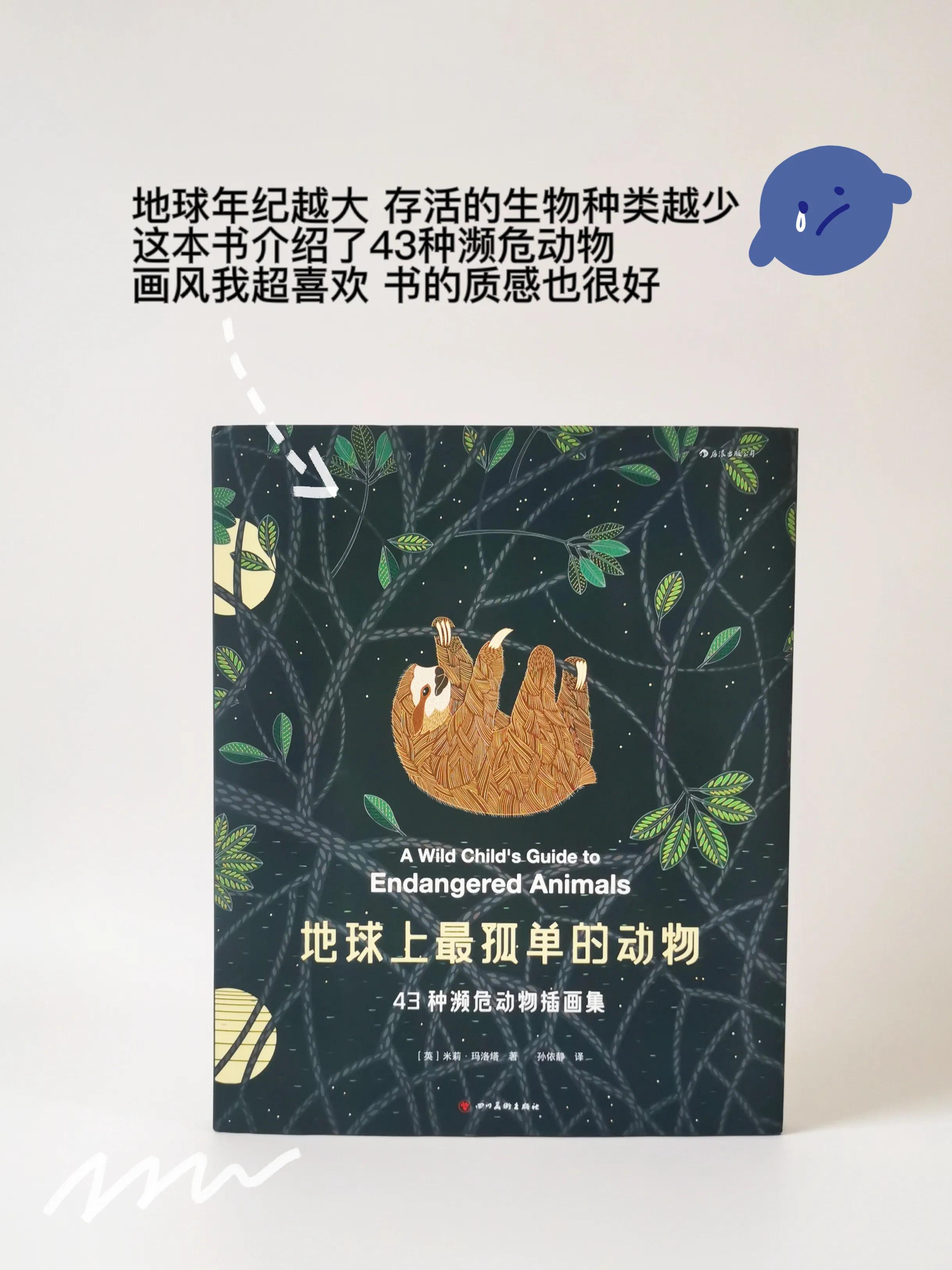 小众高颜值科普绘本,科普类的绘本推荐