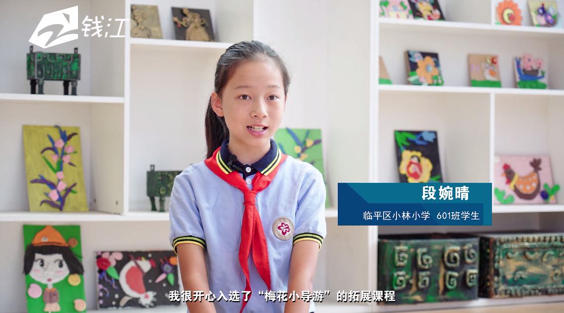 临平小林中心小学,杭州市临平区小林小学怎么样