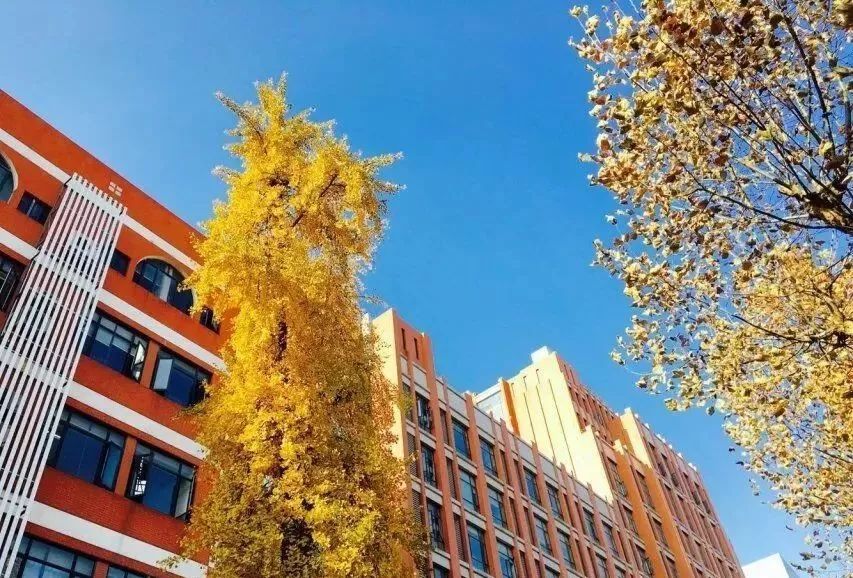 武汉18所美丽中学排名,武汉十大美丽学校