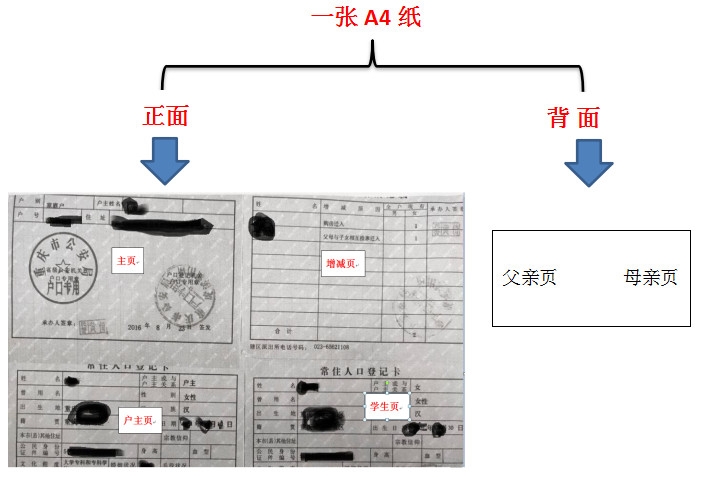 南开景阳小学怎么样,2019年重庆沙坪坝区小学招生政策