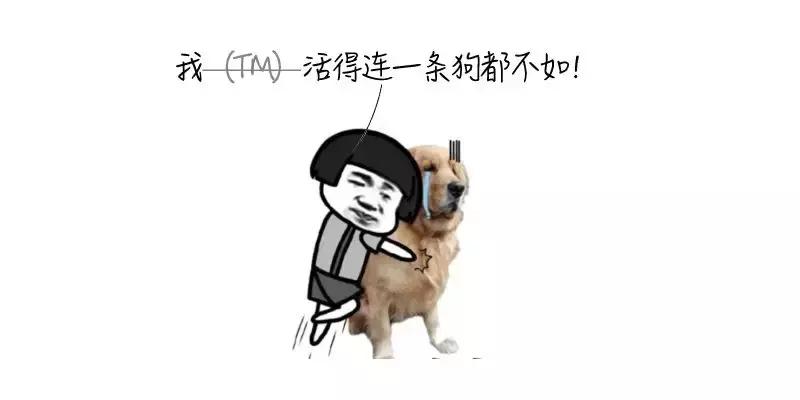 被猫狗咬伤如何正确处理,被猫狗咬伤十天了还能打针吗