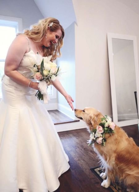 约会千万不要带狗,婚礼可以带狗吗