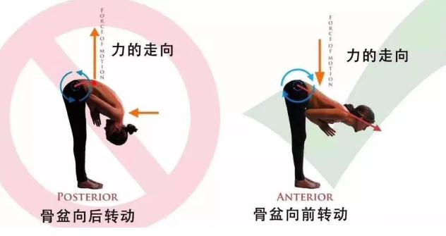快速解决站立前屈,站立前屈为什么舒服
