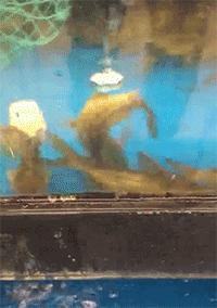 买了个保温杯，结果里面塞满了口红，这是买到假货了？