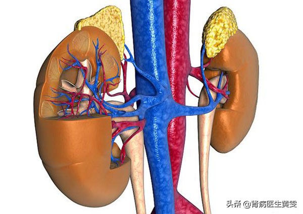 男子踢球扭伤脚为啥会查出慢性肾衰竭？这6个因素易诱发尿毒症