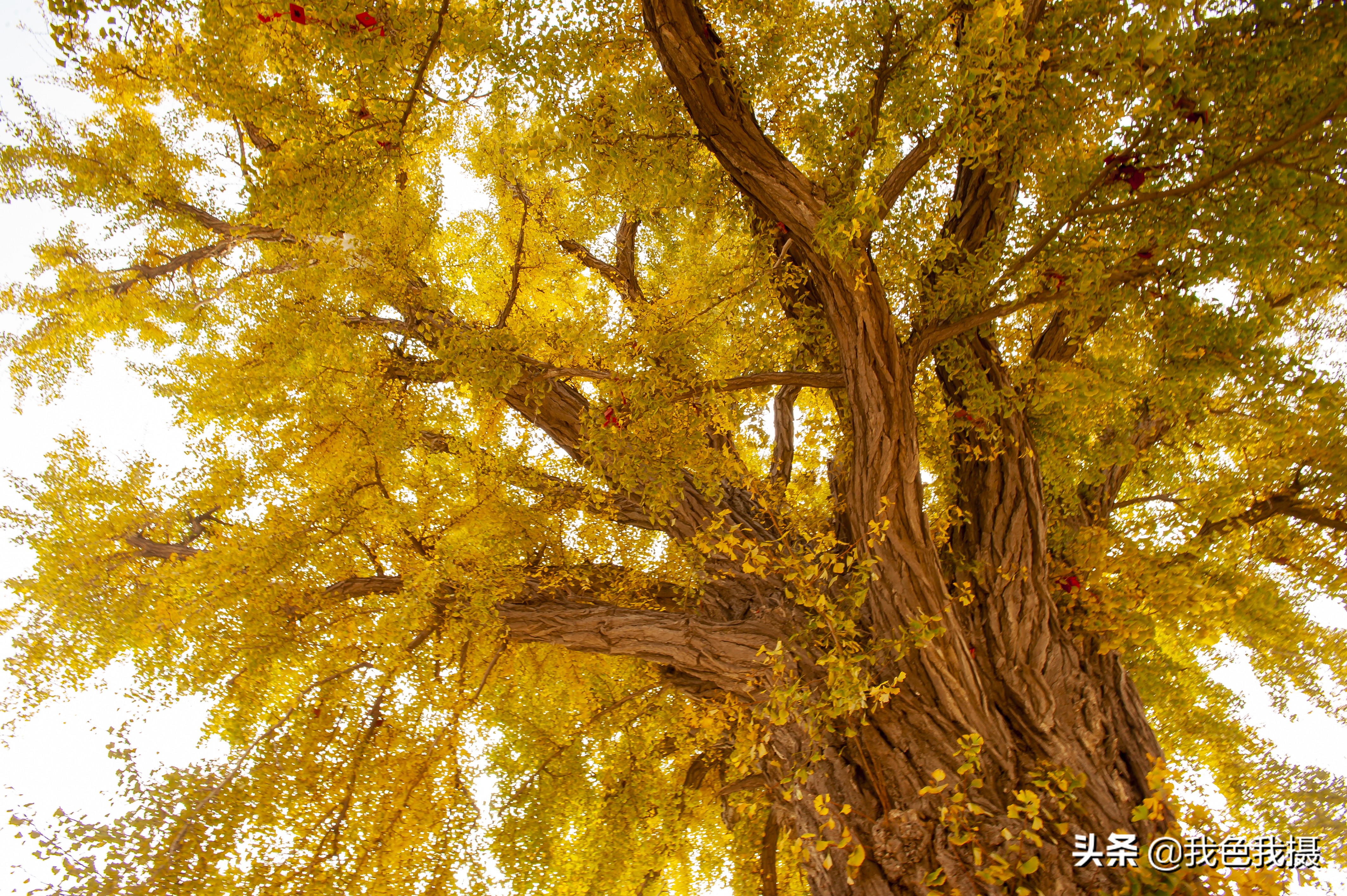 尼康D700加金广角PK佳能R5加16-35F4，微单不微