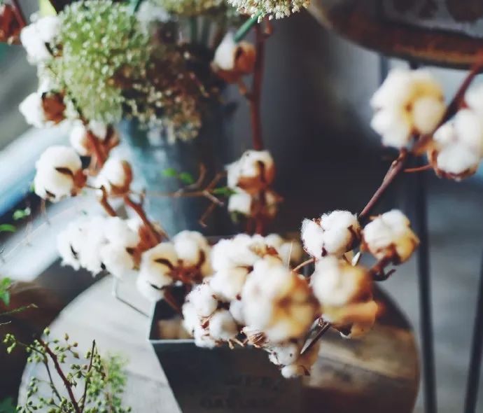 北京最美花店,她放弃了总监职位后续