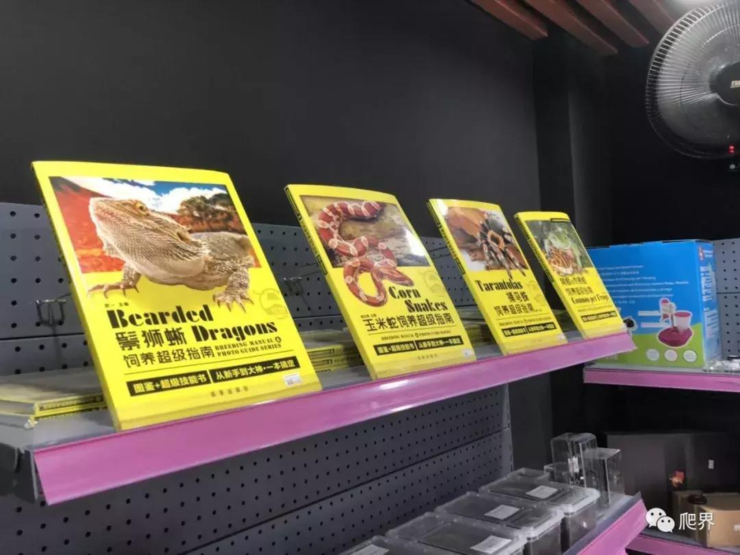 伦敦的爬宠店,隐藏在小区深处的店铺