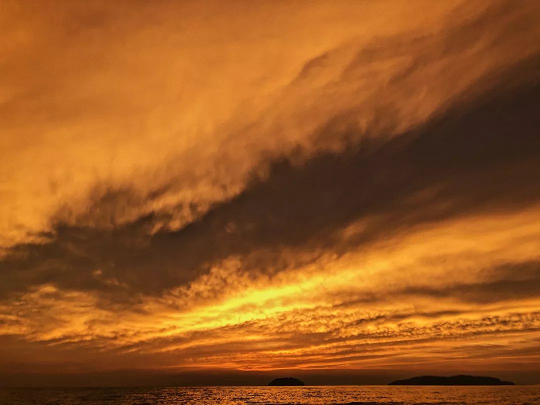 沙巴美食大起底亚庇美食一日游 (沙巴旅游攻略小吃夜市)