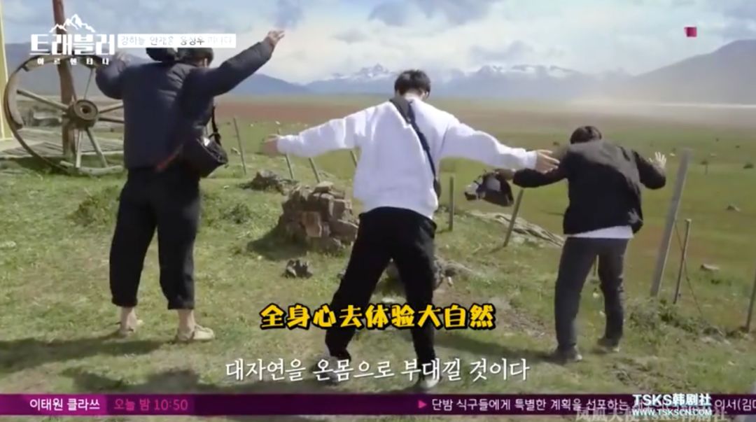 豆瓣9.6综艺,豆瓣9.5综艺