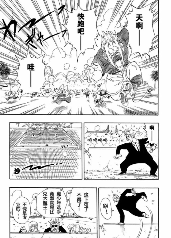 龙珠武道大会裁判有多强,龙珠中的第一武道会