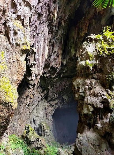 民间传说:金子山上的蛤蟆精（原创）——连载之五