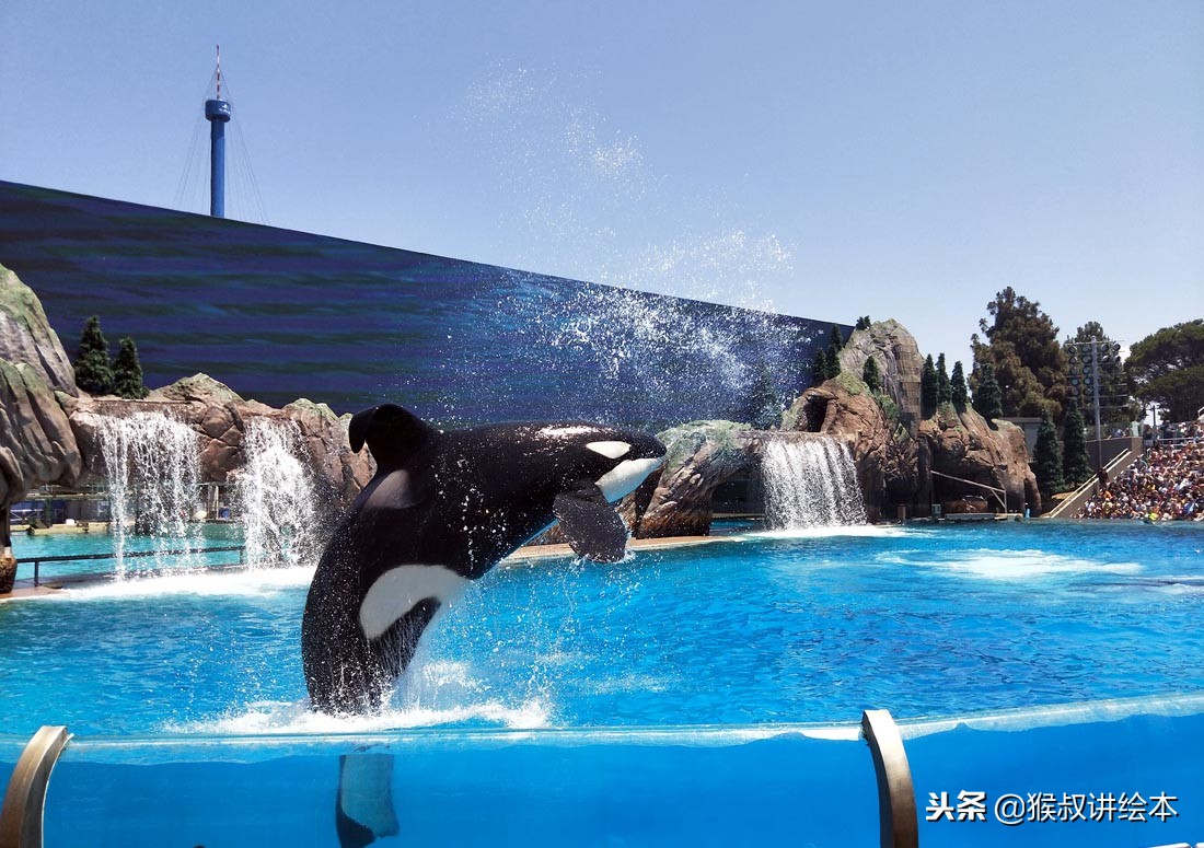 时隔多年再读一本书,时隔三十年的书籍