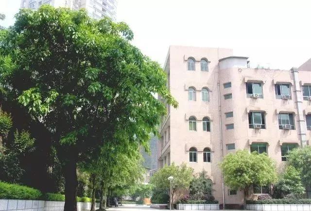 渝中区好的中学有哪些,渝中区热门初中