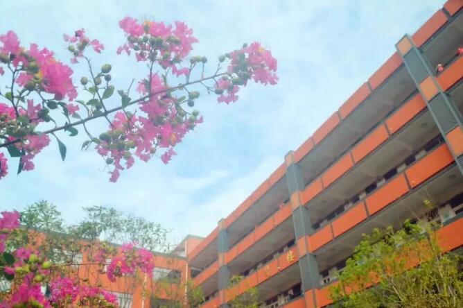 昆山最厉害的10所小学曝光,昆山十大高中