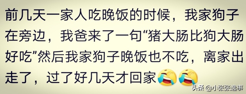 狗狗太肥了怎么才能给它减肥呢,爷爷说狗狗太胖了要减肥
