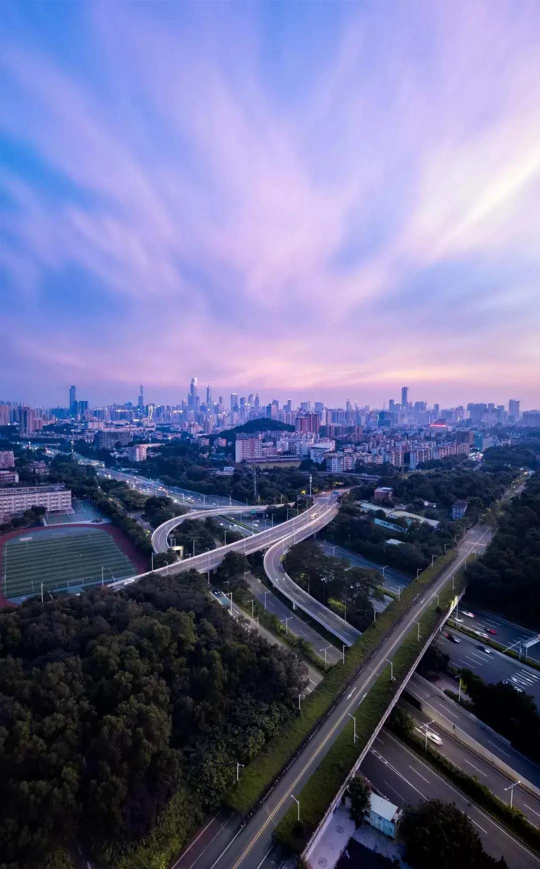 报考华南农业大学,华农报录比