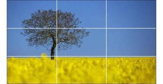 手机拍摄制作短视频教程,拍摄手机视频技巧教程