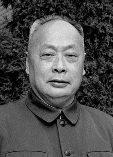 建国后，十大元帅里，彭德怀、陈毅、*剑英叶**在自己的领域无人能比