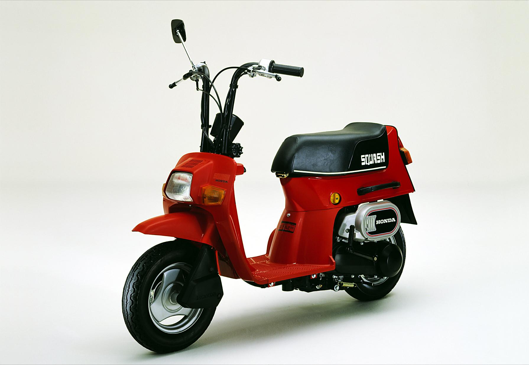 本田可爱mini熊,本田超梦mini多少钱