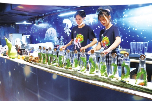 重庆太空梦幻农业科技,大渡口梦幻太空农场