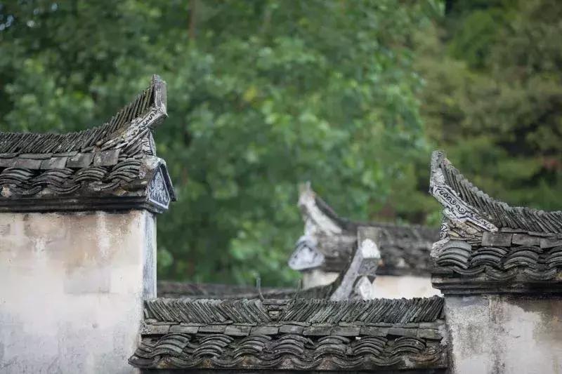 中式庭院的美丽,小院里的中国色美到窒息