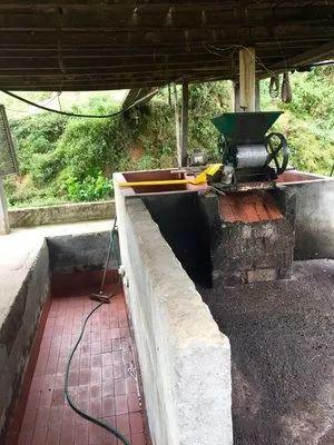 咖啡豆产区哥斯达黎加详解,咖啡豆南美洲产区之巴西